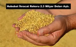 İhracat Rekoru 2.3 Milyar Doları Aştı.