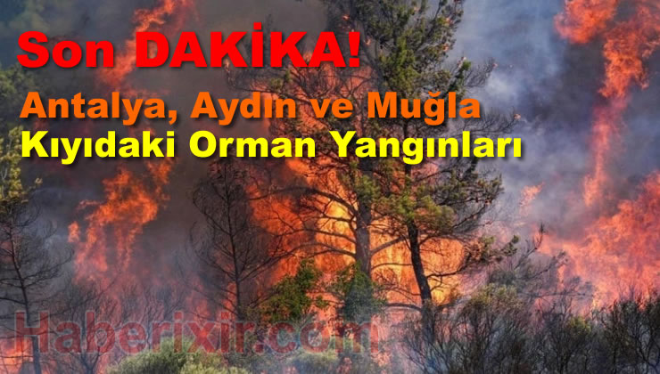 Orman Yangınları Ak denizde Ciğerimizi Yaktı..