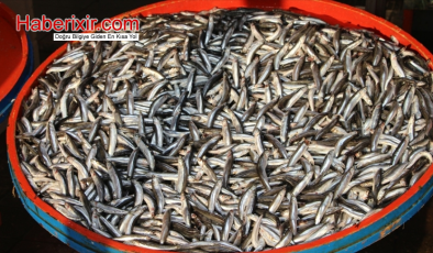 Hamsi Bolluğu Sofralar Şenlenecek!