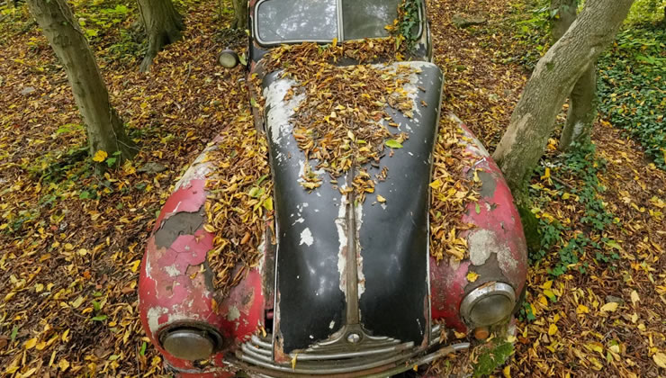 paslanan-klasikler-dogal-olmayanin-dogalligi-2