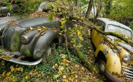 Paslanan Klasikler Doğal Olmayanın Doğallığı..