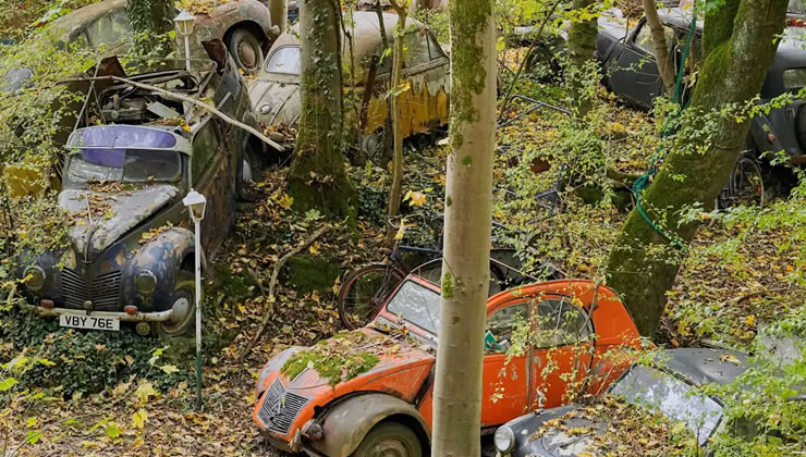 paslanan-klasikler-dogal-olmayanin-dogalligi